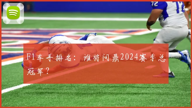 F1车手排名：谁将问鼎2024赛季总冠军？