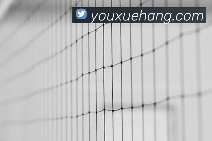 App 展示图